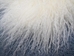 Tibet Lamb Rug: ~8x10 ft: Bleached White - 1677-A049-8x10 (Y2N)