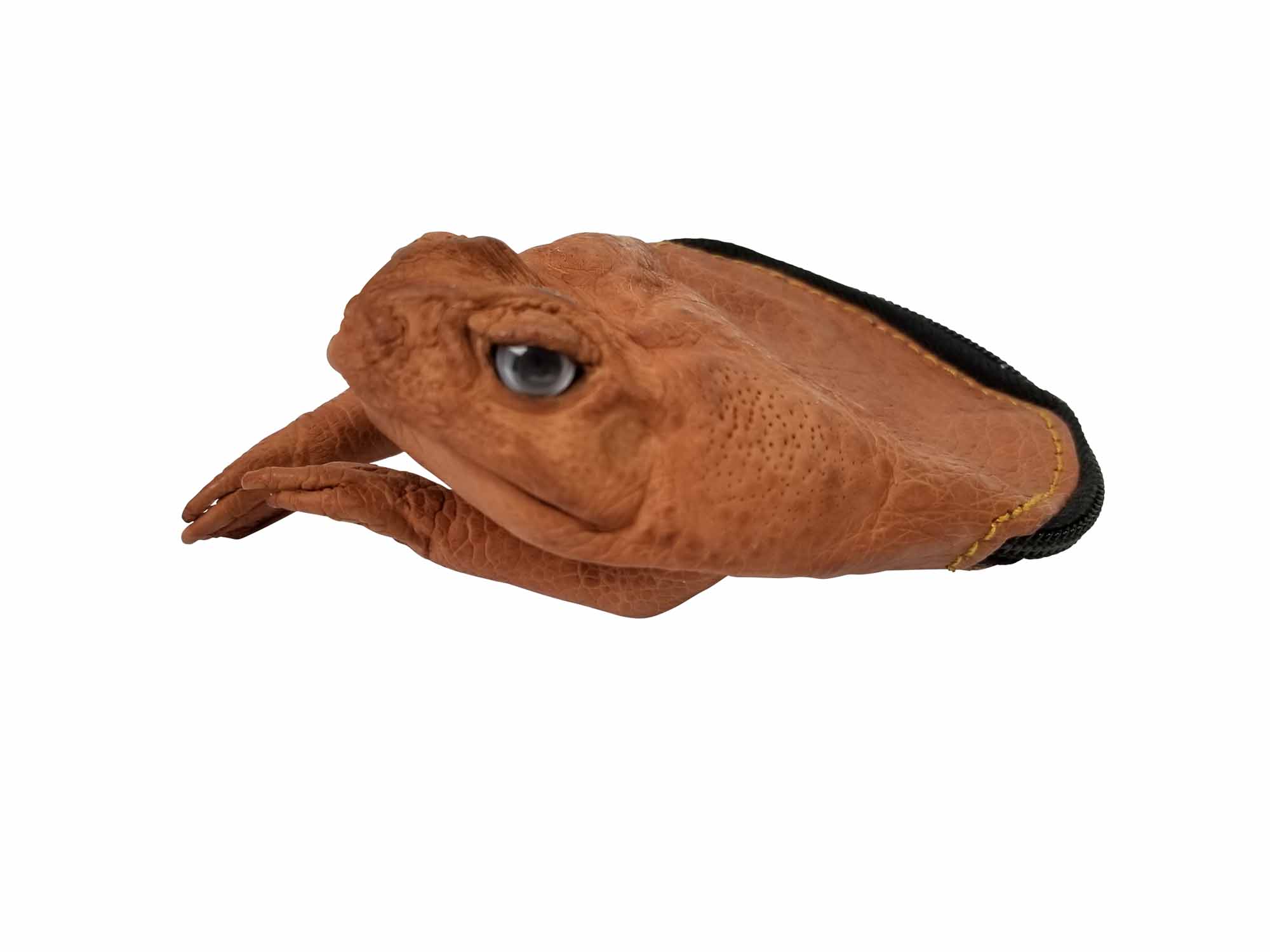 Sagit Sugar Cane Toad-Full-Body Purse, Coin Pouch Made From Taxidermy Cane- Toad: أفضل المنتجات في متجر Joom Geek الإلكتروني