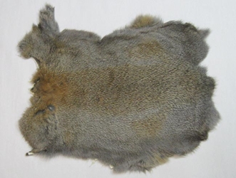 Rabbit Pelt  Natural Selection Store - Purveyors of all things odd and  beautiful.