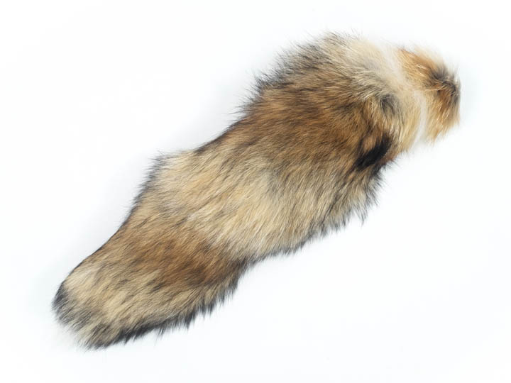 North American Red Fox Tail (12-14