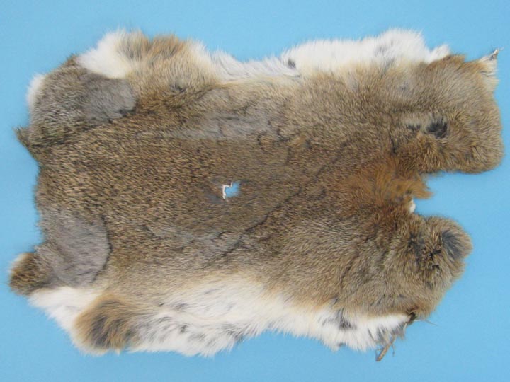 Seconds* Assorted Natural Rabbit Fur Pelts - Craft Grade Rabbit