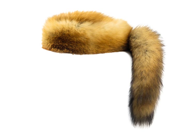 fox tail hat