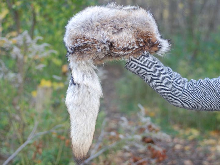 coyote fur trapper hat