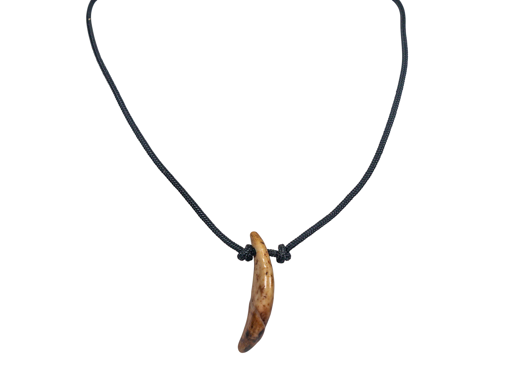 Dog tooth outlet pendant