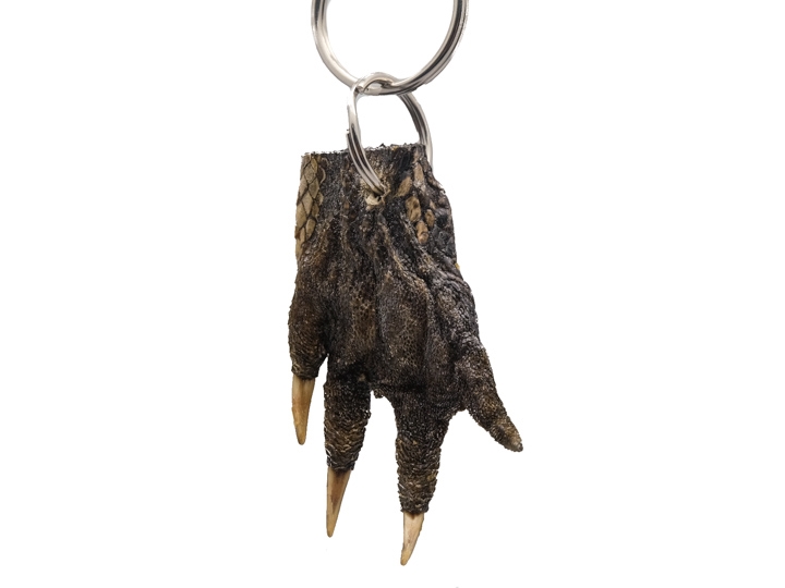 Alligator deals foot keychain