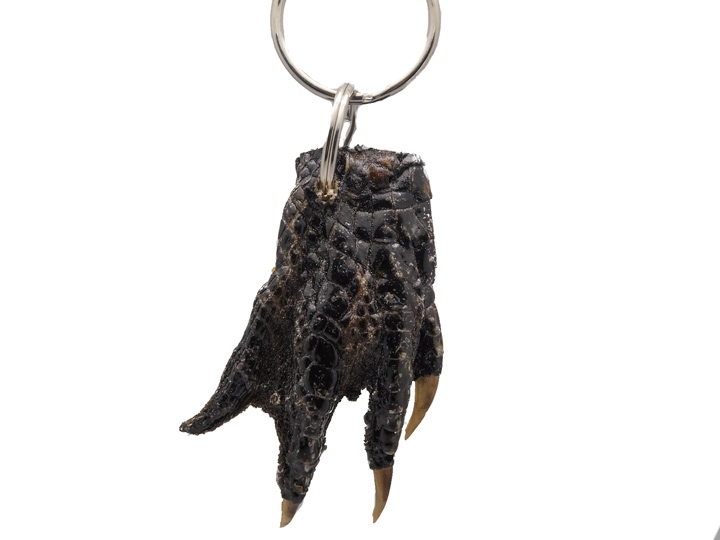 Alligator 2025 claw keychain