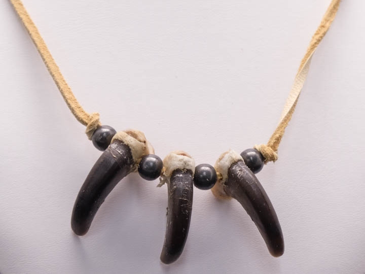 Real Black Bear 3-Claw Necklace