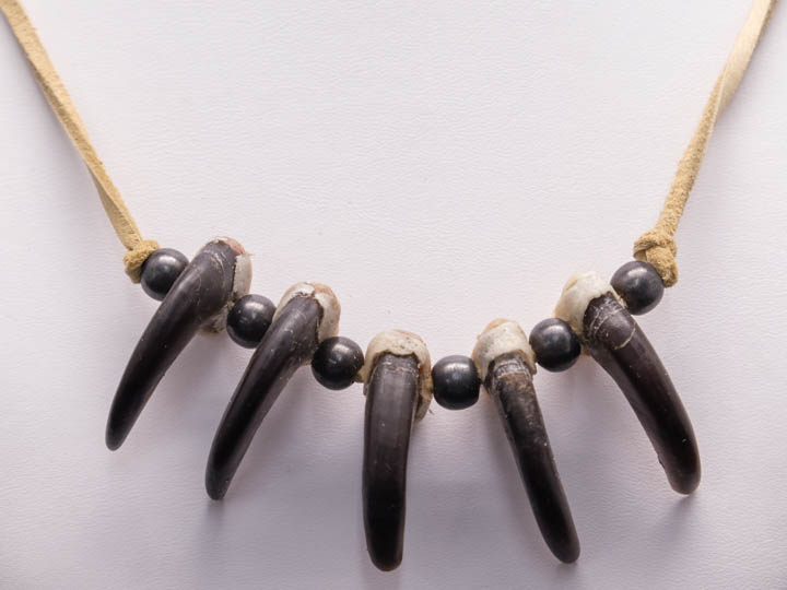 Veteran's Honor Bear Claw Necklace - Mesa Farm :: Native American Indian  Jewelry, Crafts & Gifts