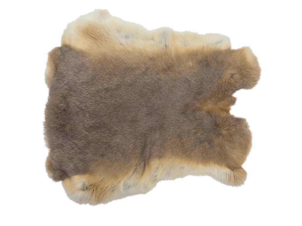 Natural Tanned Rabbit Fur Hide (10 by 12 Rabbit Pelt with Sewing Quality  Leather)