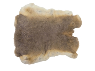 Dry Tanned Domestic Rabbit Pelt [SOLD] by MilkyFoxWhiskers on