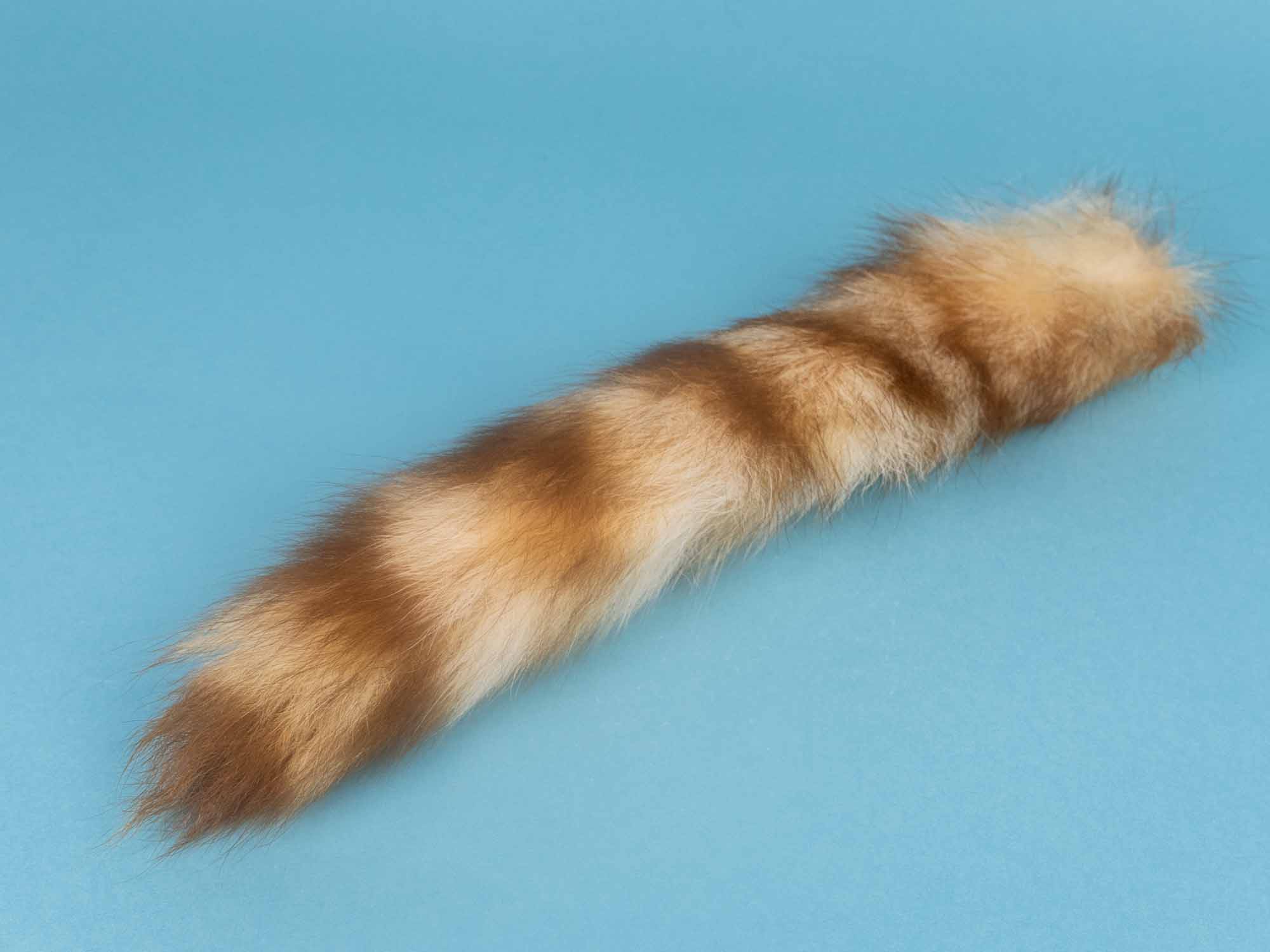 Racoon sales tail keychain