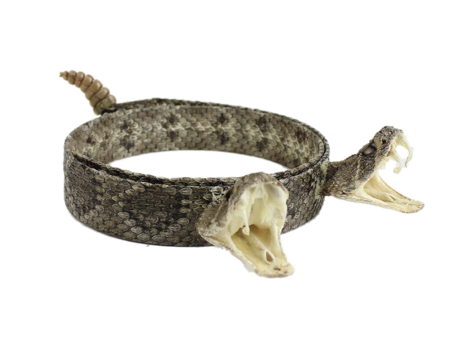 rattlesnake skin hat band