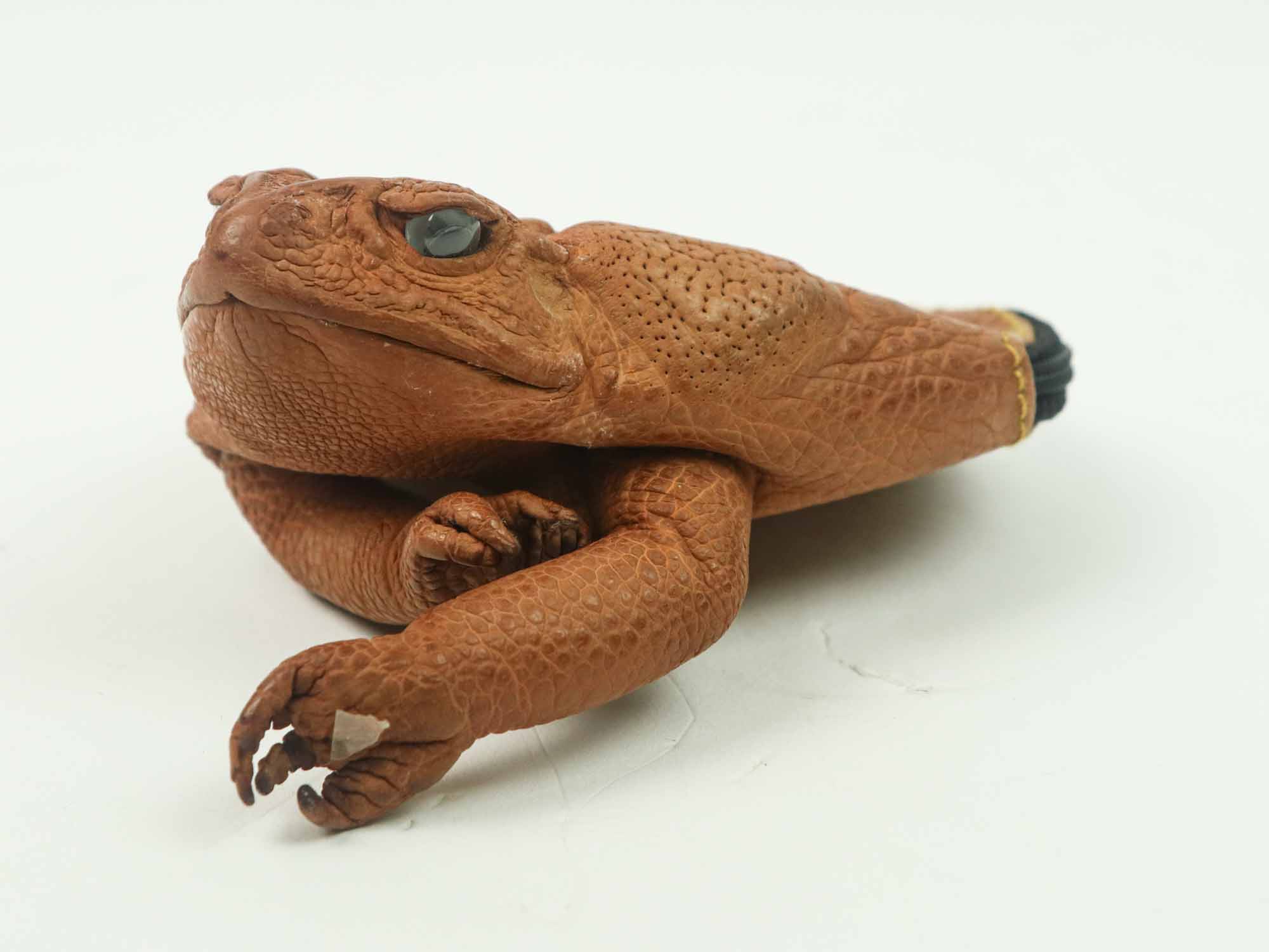 Vintage Timmy Woods Frog Shoulder Bag Wood Carved Purse Beverly Hills |  #3785320550