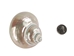 Natural Pearl Polished Turbo Imperialis Shell: Large - 1143-P-PL-L (Y3L)