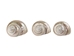 Natural Pearl Polished Turbo Imperialis Shell: Medium - 1143-P-PL-M (Y3L)