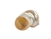 Natural Pearl Polished Turbo Imperialis Shell: Small - 1143-P-PL-S (Y2L)