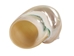 Natural Pearl Polished Turbo Imperialis Shell: Extra Large - 1143-P-PL-XL (Y3L)