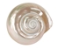 Natural Pearl Polished Turbo Imperialis Shell: Extra Large - 1143-P-PL-XL (Y3L)