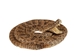 Coiled Prairie Rattlesnake: 2"-4" - 1282-M101M-AS (Y3E)(Y2L)