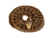 Coiled Prairie Rattlesnake: 2"-4" - 1282-M101M-AS (Y3E)(Y2L)