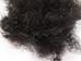 Synthetic Loose Horse Hair: Black (8 oz) - 1427-BL-8 (Y1M)