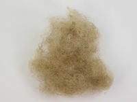 Synthetic Loose Horse Hair: Whitish (8 oz) fake pubic hair, robot pubic hair, plastic doll hair