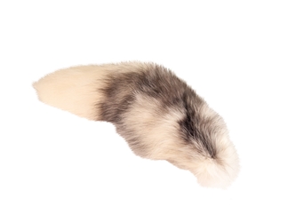 Marble Fox Tail 