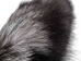 Silver Fox Tail: XXL: 20"+ - 18-05-8XXL+ (Y2N)