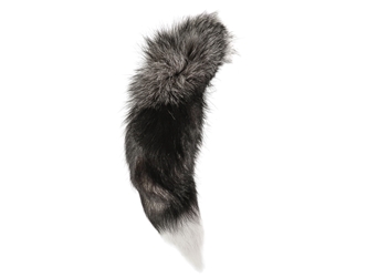 Silver Fox Tail: XXL: 20"+ 