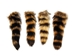 Natural Raccoon Tail: Medium - 18-11-N-M (Y2N)