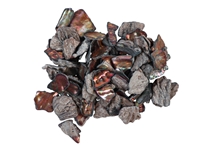 African Abalone Pieces: 12 to 19mm: Copper (100 g) 