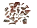 Mexican Red Abalone Shell Pieces: Highly Polished: Assorted Sizes (50 g bag) - 221-RTPHPNA-50G (Y1G)