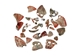 Mexican Red Abalone Shell Pieces: Highly Polished: Assorted Sizes (50 g bag) - 221-RTPHPNA-50G (Y1G)