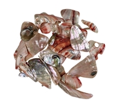 Mexican Red Abalone Shell Pieces: Highly Polished: Assorted Sizes (50 g bag) 
