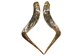 Pair of Polished Steer Horns: 30" to 32": Assorted - 304-P3032-AS (Y3H)