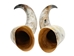 Pair of Polished Steer Horns: 32" to 34": Assorted - 304-P3234-AS (Y3H)