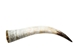 Polished Steer Horn: 22" to 24": Assorted - 304-S2224-AS (Y3H)