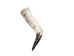 Polished Steer Horn: 22" to 24": Assorted - 304-S2224-AS (Y3H)