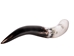 Polished Steer Horn: 24" to 26": Assorted - 304-S2426-AS (Y3H)