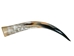 Polished Steer Horn: 26" to 28": Assorted - 304-S2628-AS (Y3H)