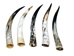 Polished Steer Horn: 26" to 28": Assorted - 304-S2628-AS (Y3H)