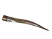 Polished Steer Horn: 28" to 30": Assorted - 304-S2830-AS (Y3H)