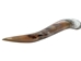 Polished Steer Horn: 28" to 30": Assorted - 304-S2830-AS (Y3H)