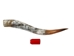 Polished Steer Horn: 30" to 32": Assorted - 304-S3032-AS (Y3H)