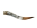 Polished Steer Horn: 30" to 32": Assorted - 304-S3032-AS (Y3H)