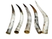 Polished Steer Horn: 30" to 32": Assorted - 304-S3032-AS (Y3H)