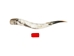 Polished Steer Horn: 32" to 34": Assorted - 304-S3234-AS (Y3H)