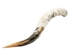 Polished Steer Horn: 32" to 34": Assorted - 304-S3234-AS (Y3H)