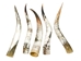 Polished Steer Horn: 32" to 34": Assorted - 304-S3234-AS (Y3H)