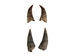 Brown Goat Horns: <4" - 318-1BRXS-AS (Y1X)